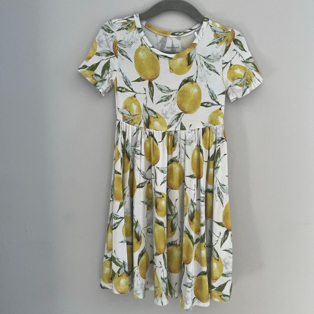 Posh Peanut Limoncello Lemons 2T Twirl Dress